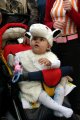 Click for preview picture of "IMG_0857 (320 x 480)"