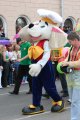 Click for preview picture of "IMG_0397 (320 x 480)"